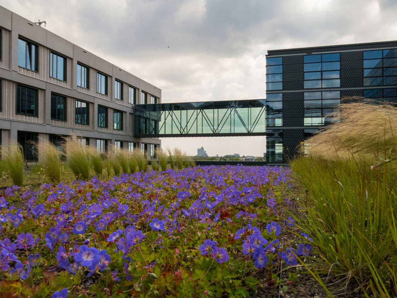 Piet Hein Buildings