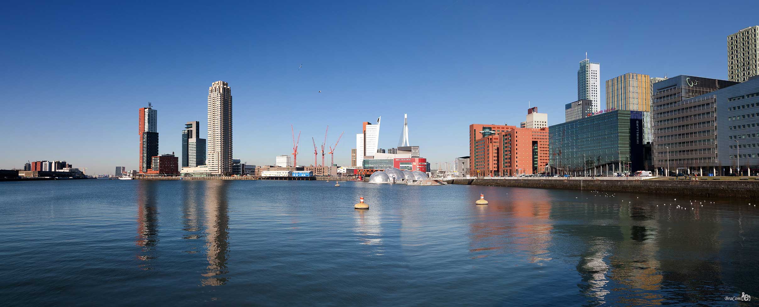 Rijnhaven